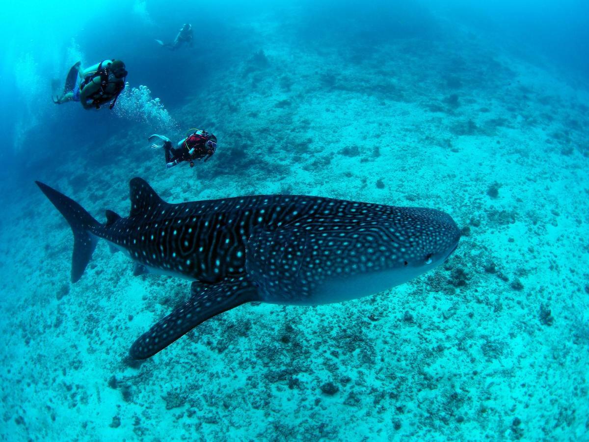 White Sand Dhigurah Dhigurah  Exterior photo