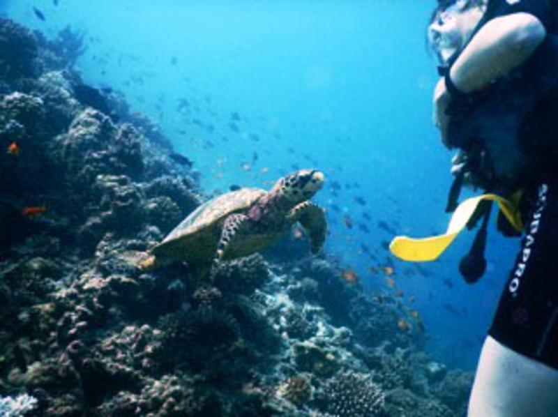 White Sand Dhigurah Dhigurah  Exterior photo